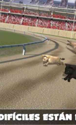 Gato Racing gratis juego 1