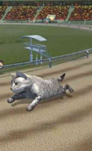 Gato Racing gratis juego 2