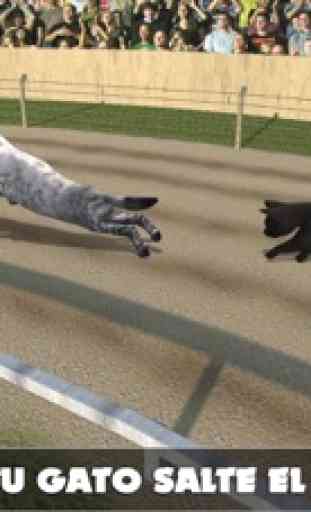 Gato Racing gratis juego 3