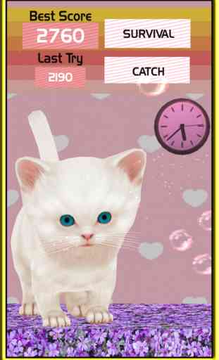 Lindo gatito Run Simulator – animal doméstico gato 2