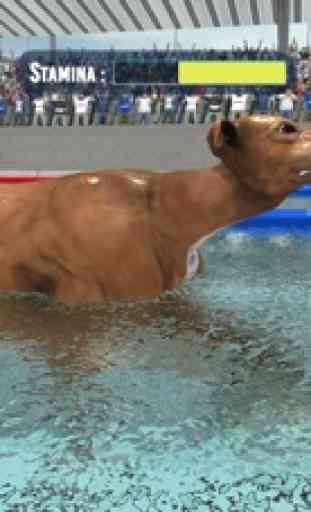 Raza de natación del perro 2