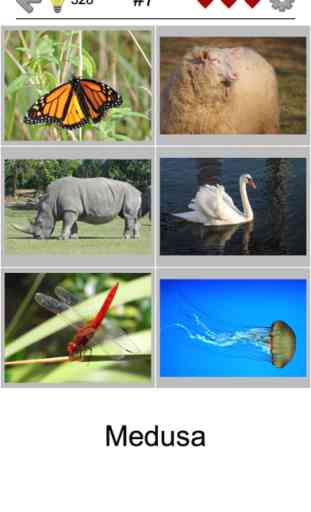 Las imágenes fáciles Foto-Quiz 2