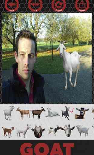 Goat stickers - editor de fotos de cabra pegatinas 3
