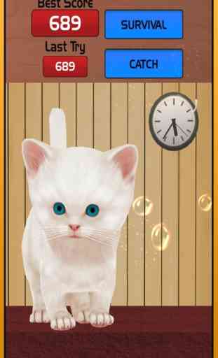 Lost Cat juego en línea para niños - Angela Pet Ki 1