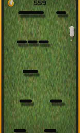 Lost Cat juego en línea para niños - Angela Pet Ki 2