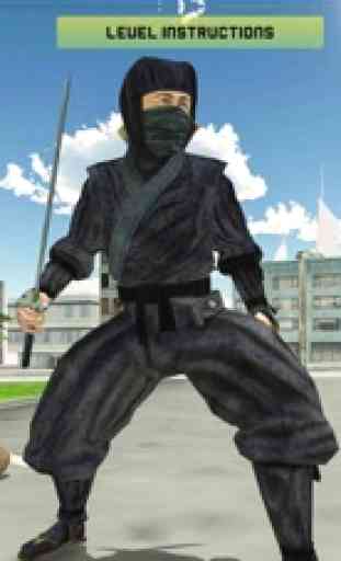 Guerrero ninja 1