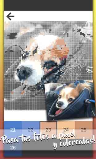 Pixel Foto – Libro Para Pintar 1