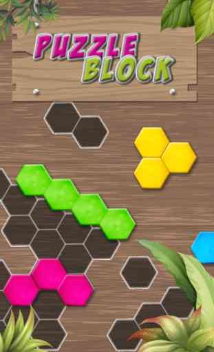 Resolver puzles - Block Game 1