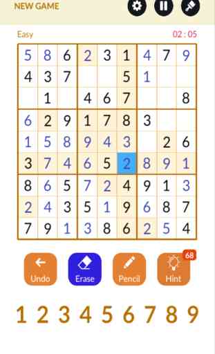 Sudoku Number Puzzle 1