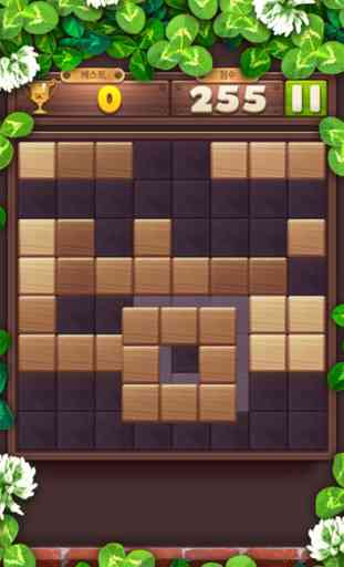 Wood Block Puzzle Master 4