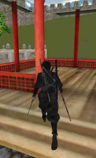 Ninja guerrero 1
