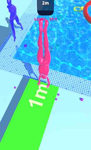 Flip & Dive 3D 3