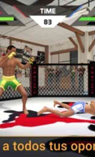 Luchadores De MMA 3D 2