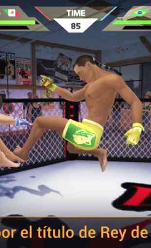 Luchadores De MMA 3D 4