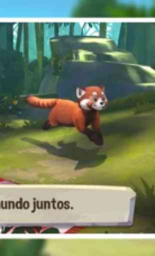 Mi Panda Rojo 2