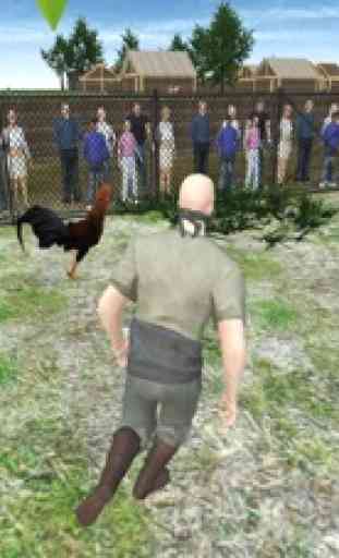 gallo ladrón gallo salvaje cor 1