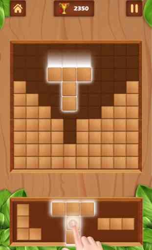 Wood Block Puzzle Box Classic 3