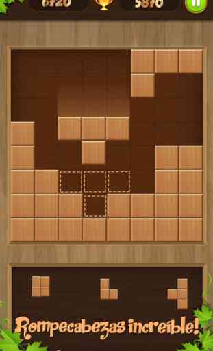 Wooden Jigsaw Block Puzzle 1