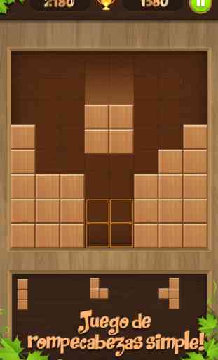 Wooden Jigsaw Block Puzzle 2