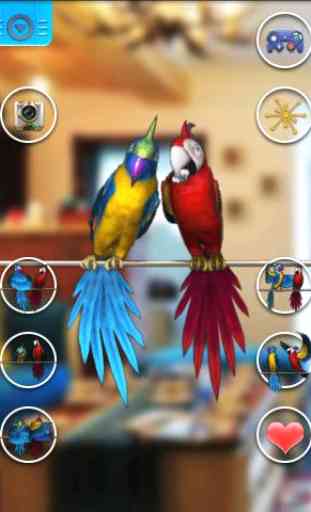 Talking Parrot Pareja Gratis 2