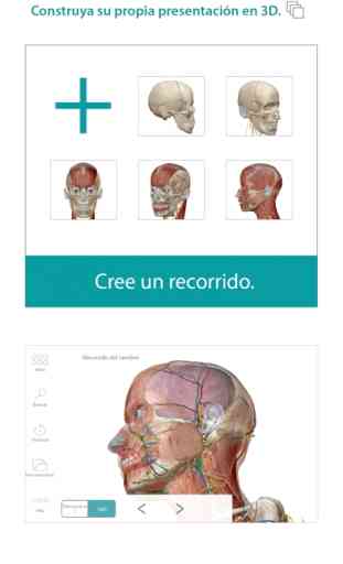 Atlas de anatomía humana 3