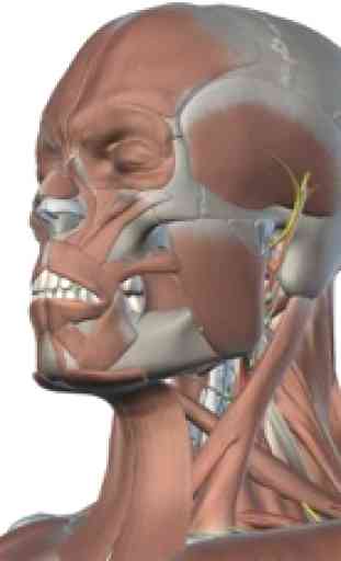 Human Anatomed 1