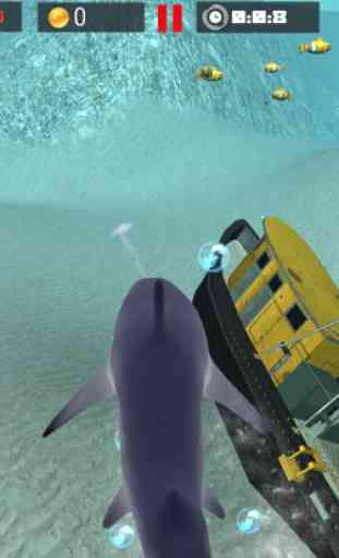 Simulador de tiburón blanco 4