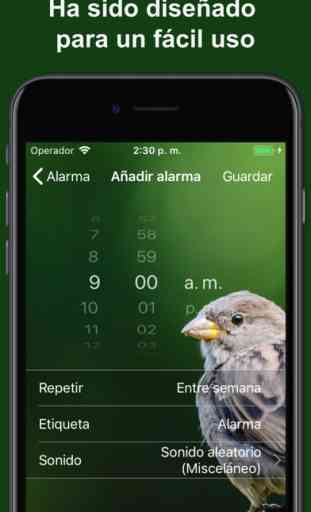 Bird Alarm Clock & Sleep Sound 4