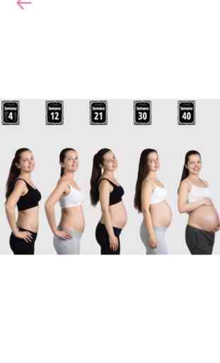 My Baby Bod - pregnancy photos 1