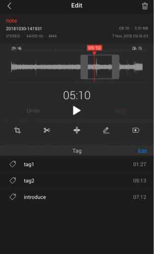Awesome Voice Recorder X PRO 3