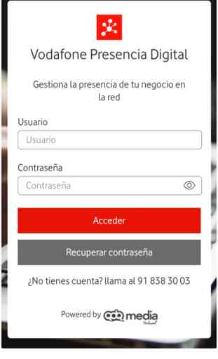 Vodafone Presencia Digital 1