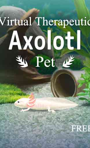 Axolotl Pet 4