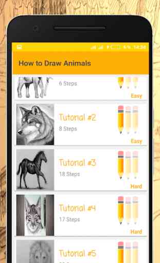 Cómo Dibujar Animales 1