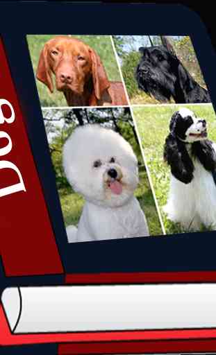 Lista de razas de perros 1