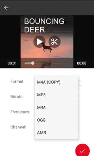Video To Audio Converter (MP3, AAC, WMA, OPUS) 3
