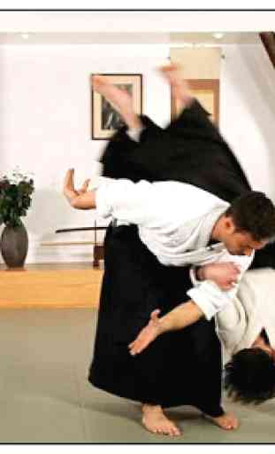 Aprender aikido y artes marciales 1