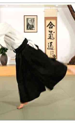 Aprender aikido y artes marciales 2