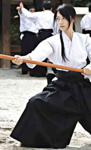 Aprender aikido y autodefensa. Artes marciales 2