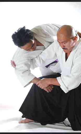 Aprender aikido y autodefensa. Artes marciales 4
