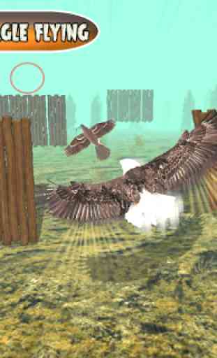 Bird Chase Mania: Eagle Hunt Endless Flying 3D 4