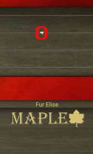 Maple Violín 1