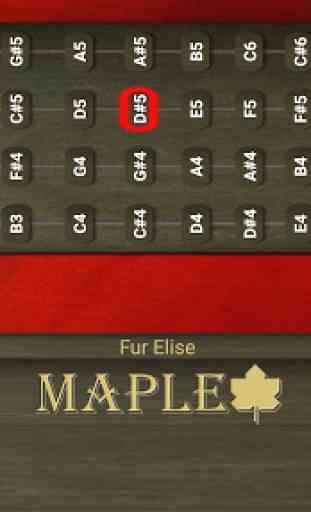Maple Violín 2