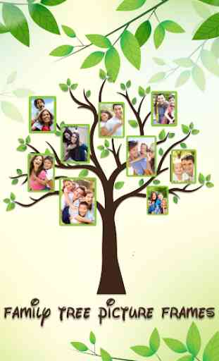 Marcos de árboles genealógicos 1