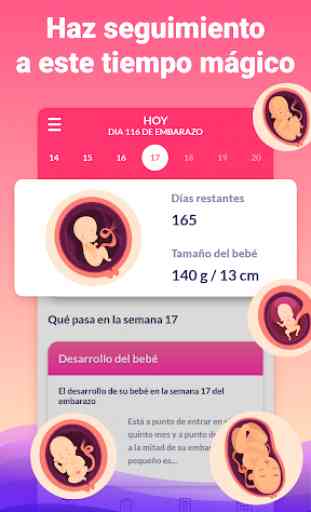 Mi embarazo semana a semana (español) 2