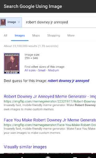 Search Google Using Image 4
