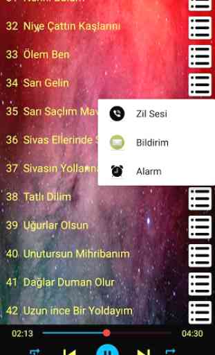 Selda Bağcan - Şarkıları Yüksek Kalite İnternetsiz 4