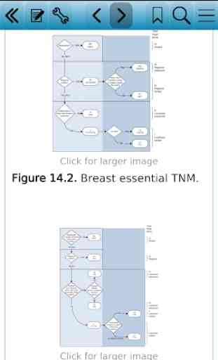 TNM Classification of Malignant Tumours, 8th Ed 3