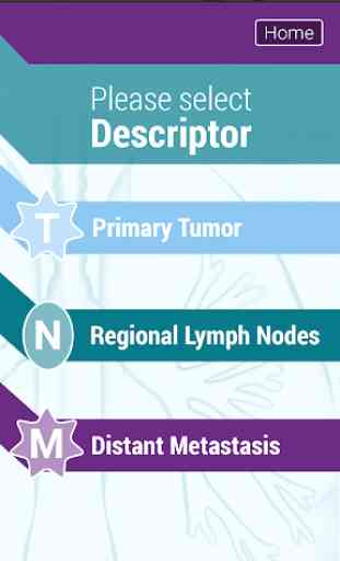 TNM Lung Staging 2