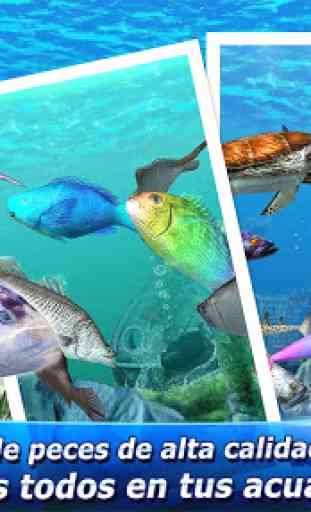 Tour de pesca : viaje de pesca alrededor del mundo 4