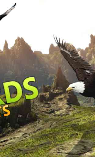 Wild Eagle Bird Simulator 2